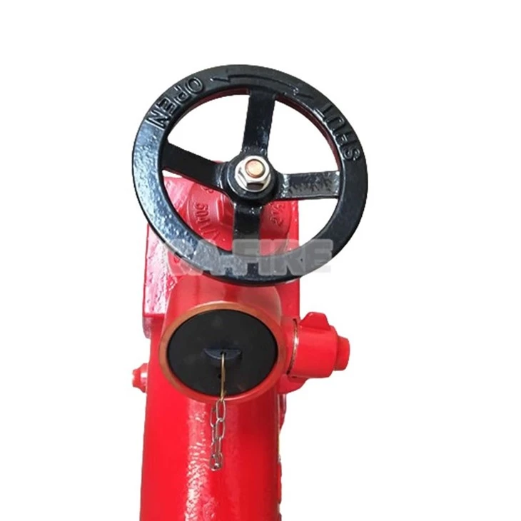 BS750 (7)