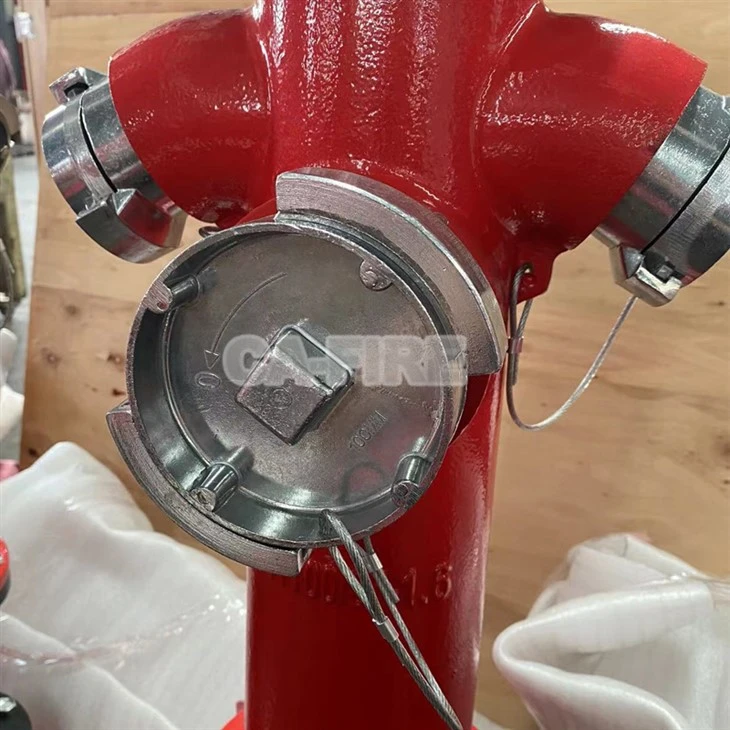 French fire hydrant (2)