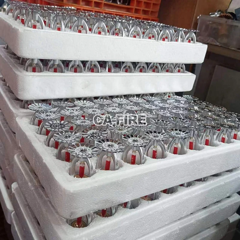 product-800-800 product-800-800
